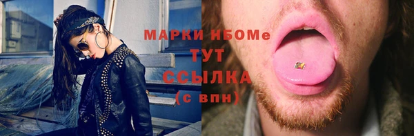 spice Бородино