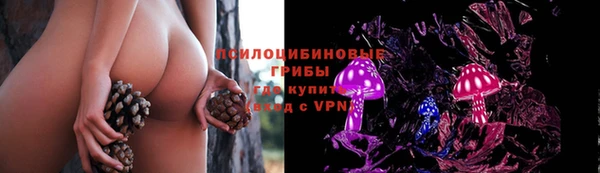 амф Бронницы