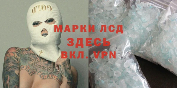 spice Бородино
